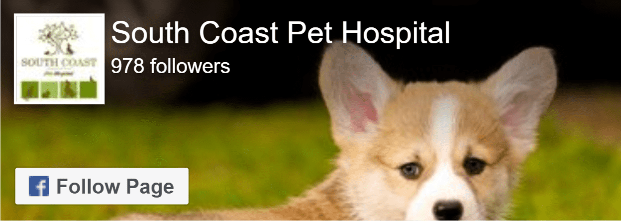 South Coast Family Medicine